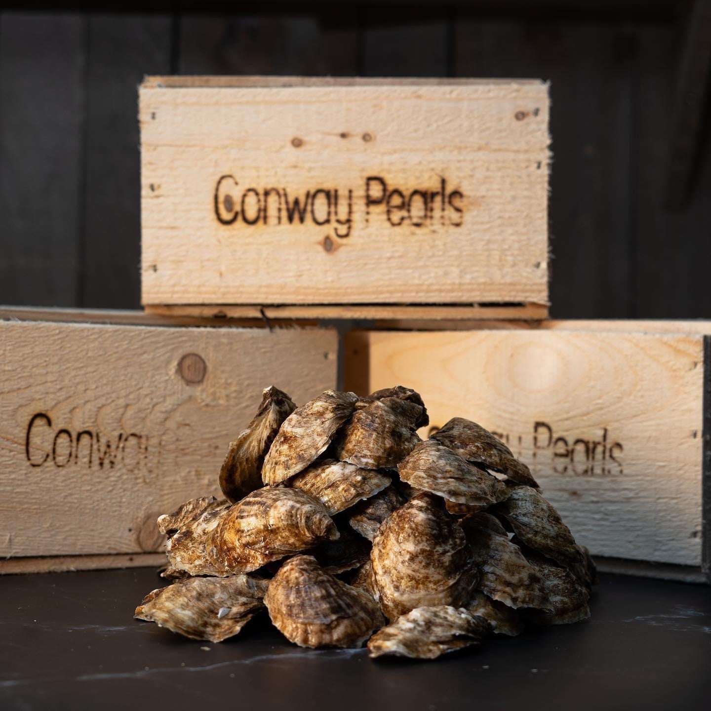 Boîte de 100 huîtres cocktail Conway Pearl non écaillées