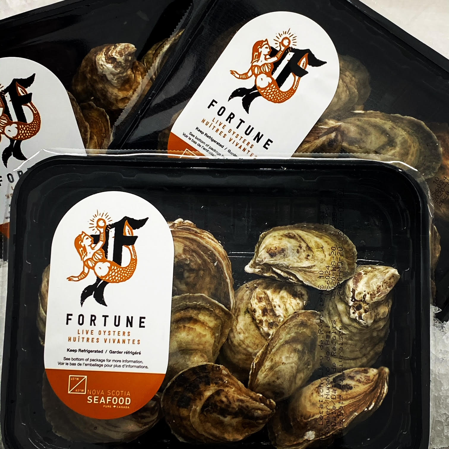Box of 25 Unshucked Fortune Bay Oysters