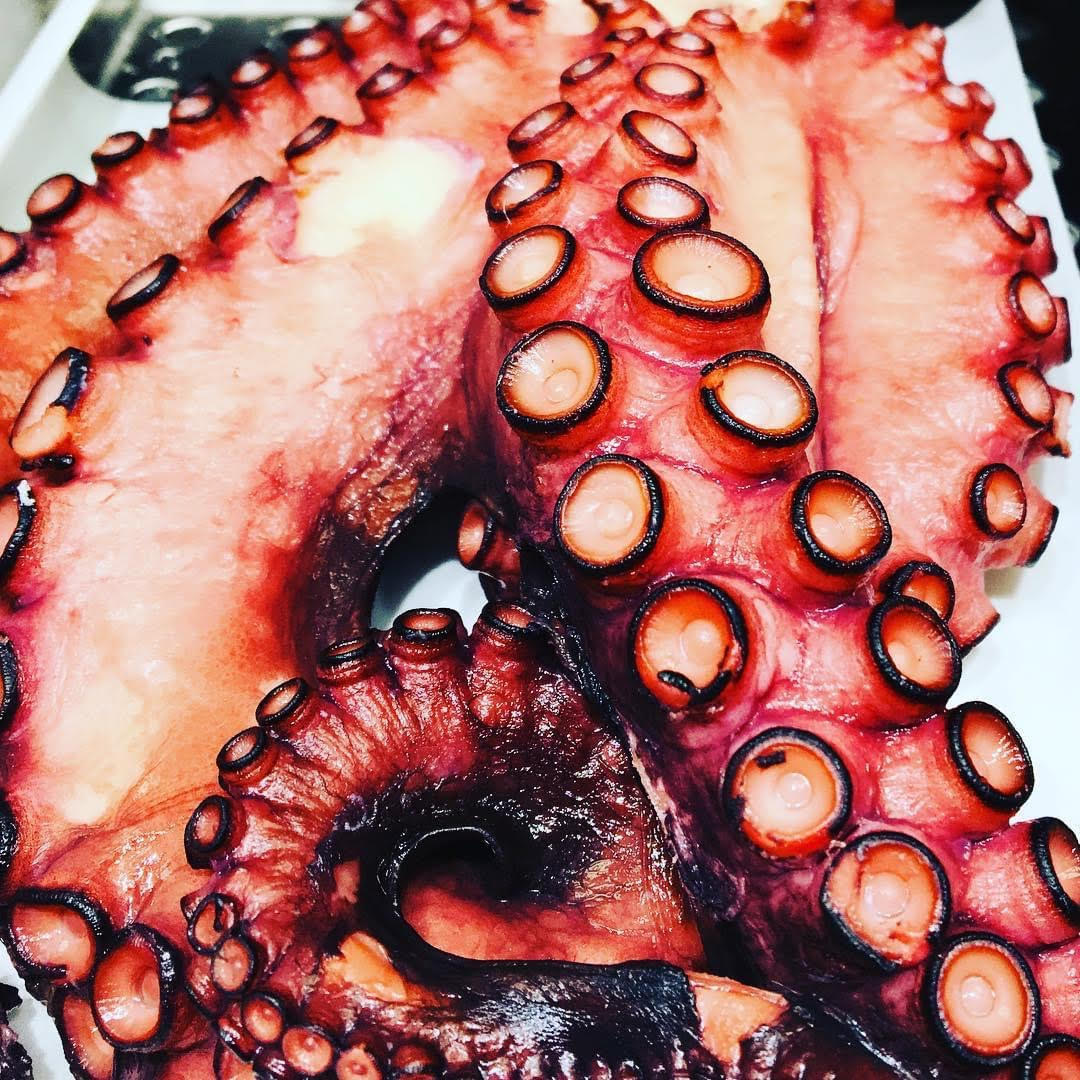 Freshly Cooked Tenderized Octopus - 3kg